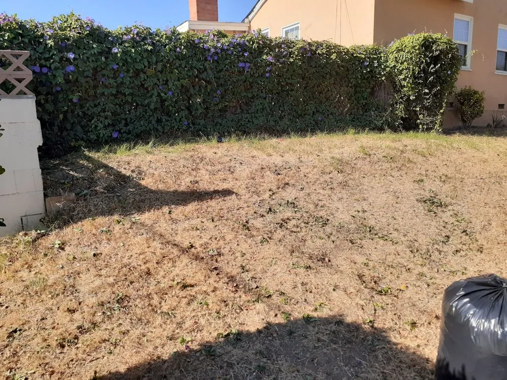 Affordable outdoor landscaping in La Habra, CA by Ramirez Gardening