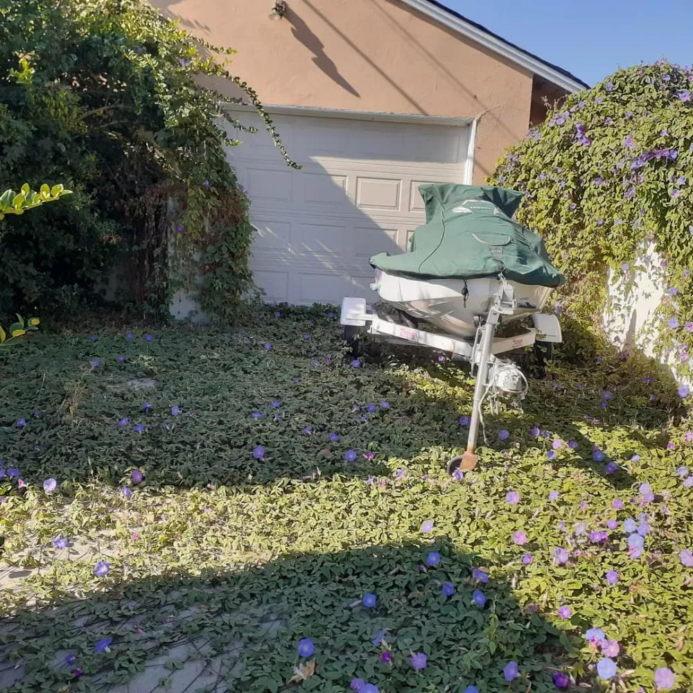 Trusted yard cleanup service in La Habra, CA by Ramirez Gardening