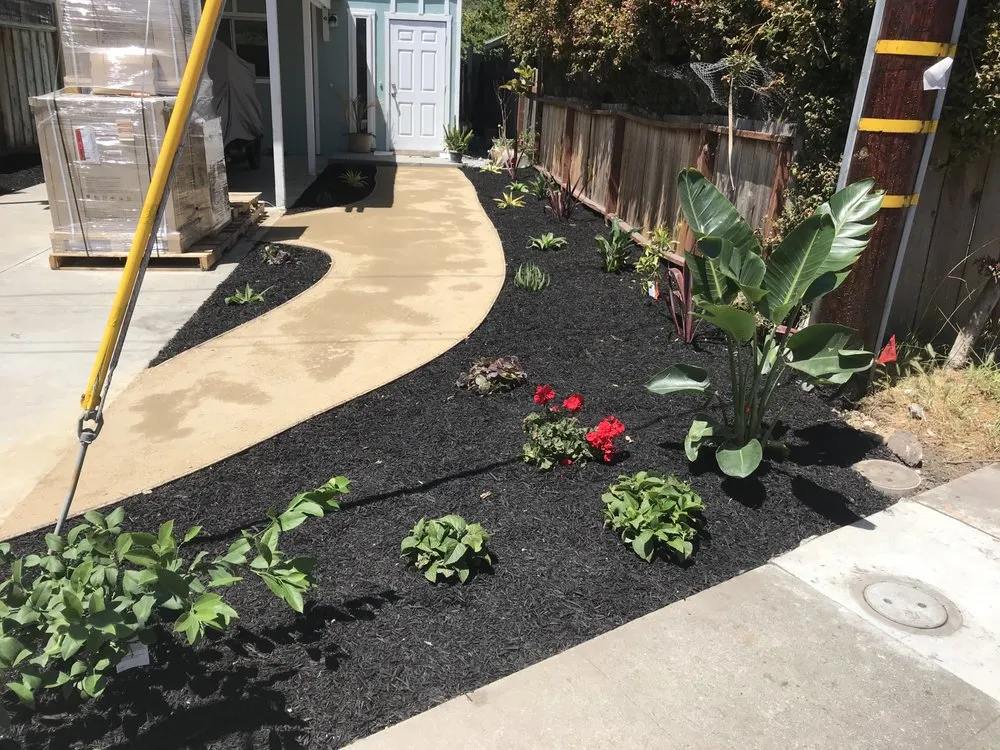 Local yard cleanup service in Seaside, CA by Ramirez Gardening