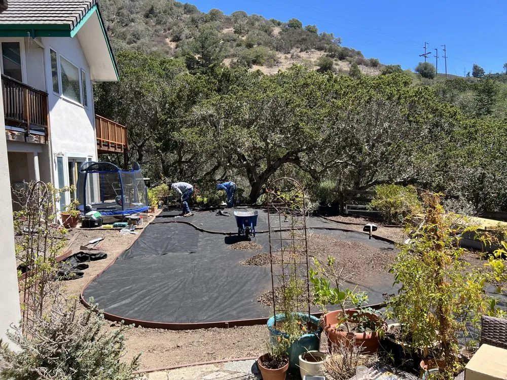 Expert yard cleanup service experts serving Seaside, CA - Ramirez Gardening