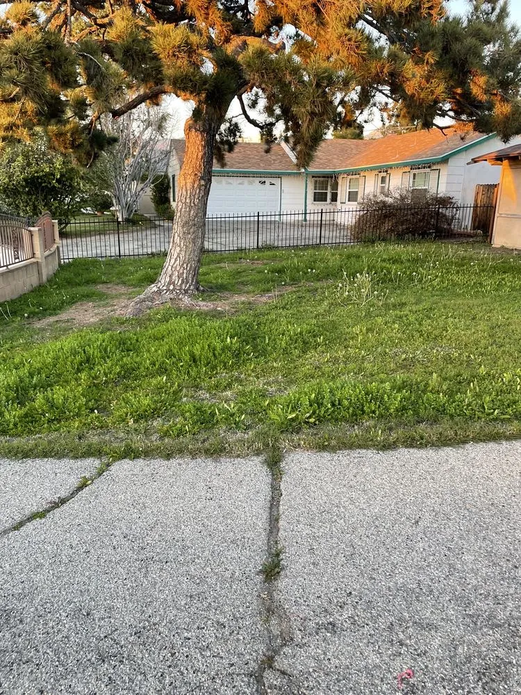 Top-rated yard cleanup service in Ontario, CA by Ramirez Gardening Services