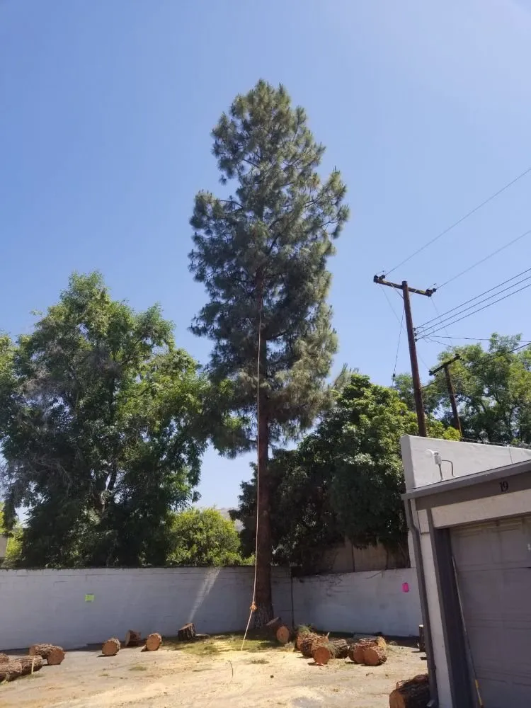 Trusted landscape design in Ontario, CA - Ramirez Gardening Services