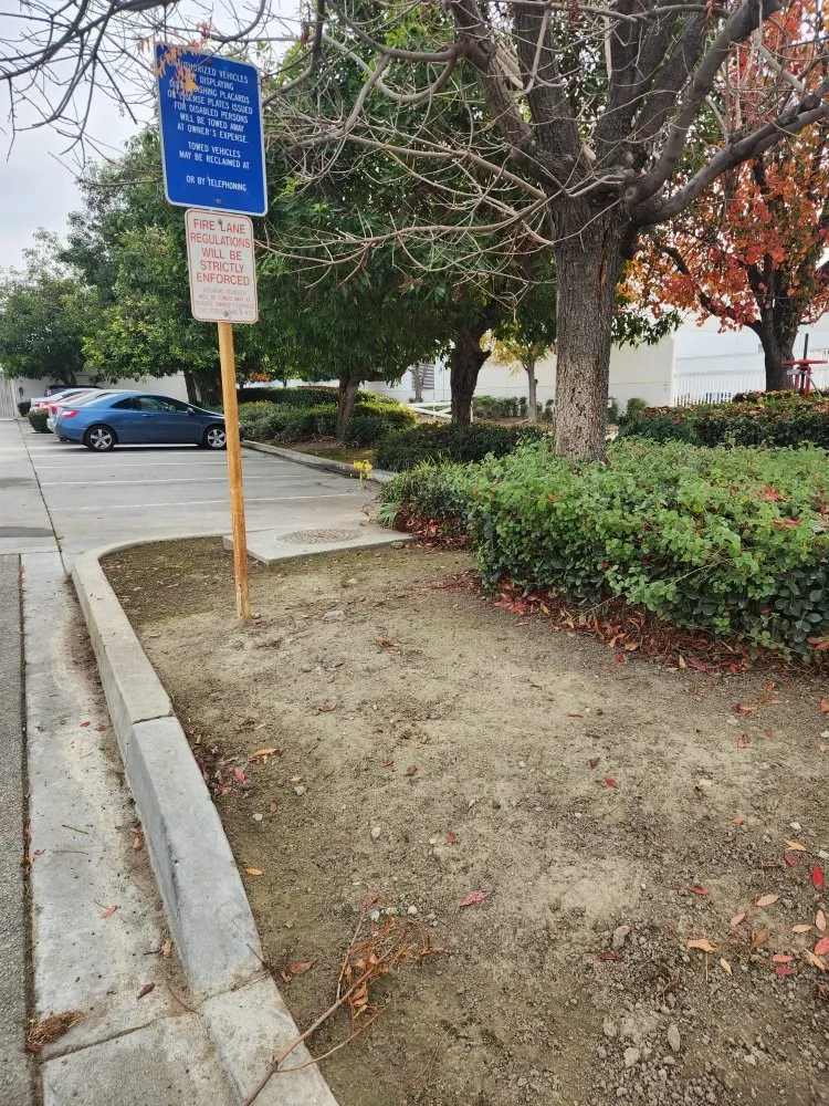 Professional yard cleanup service for year-round maintenance in Ontario, CA by Ramirez Gardening Services