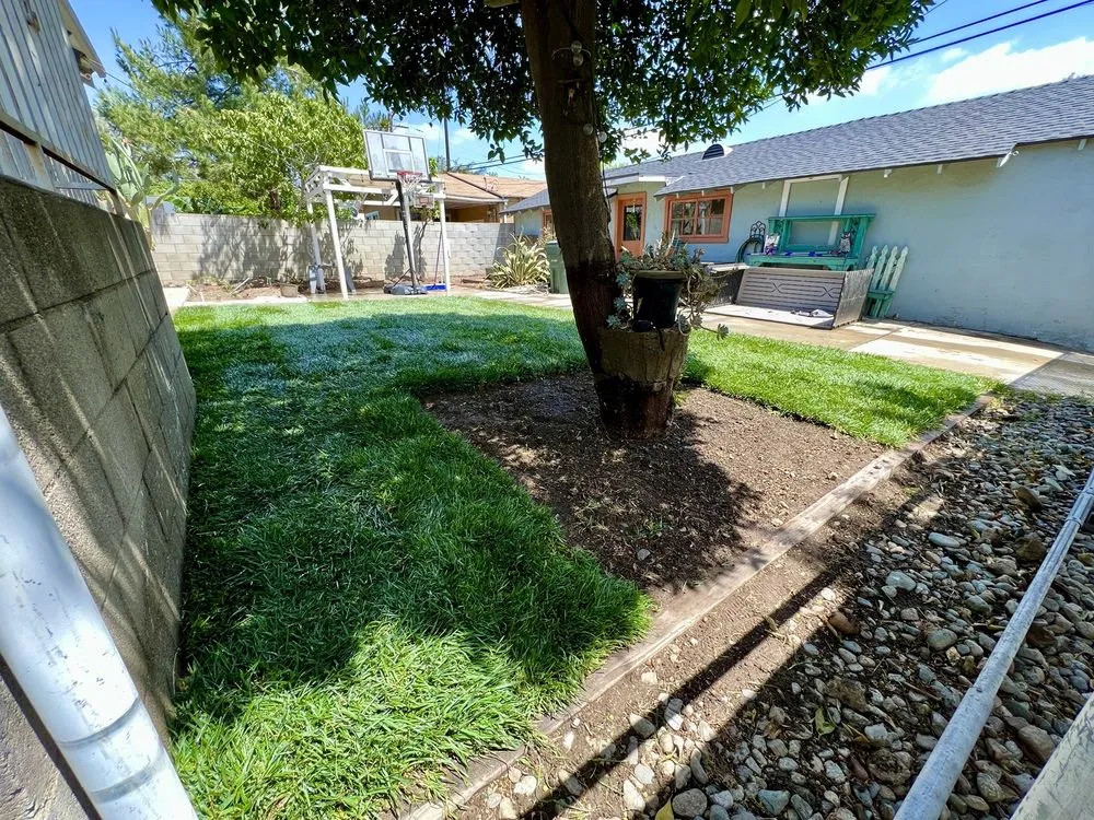 Affordable yard maintenance with custom design in Ontario, CA by Ramirez Gardening Services