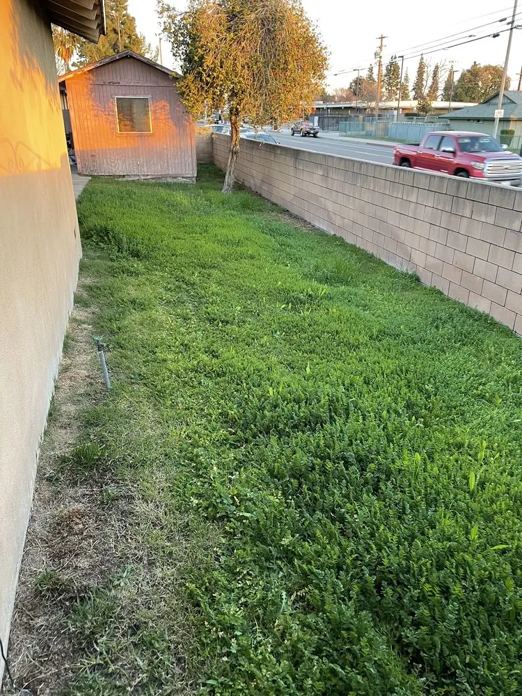 Reliable landscape installation with custom design across Ontario, CA - Ramirez Gardening Services