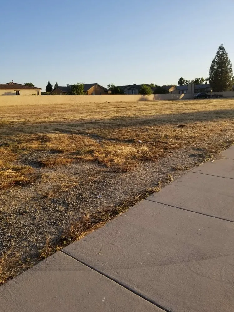 Reliable yard cleanup service for residential properties in Ontario, CA by Ramirez Gardening Services