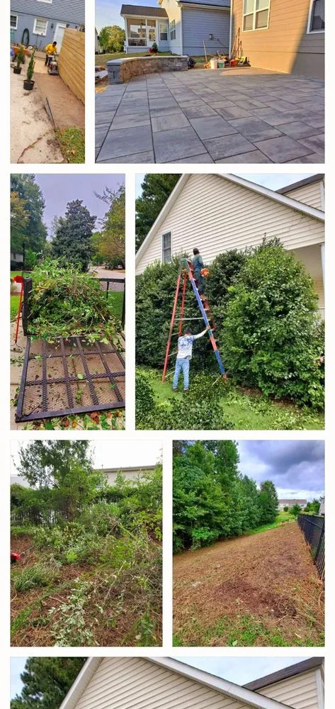 Expert lawn care service in Raleigh, NC by Ramirez General Landscaping