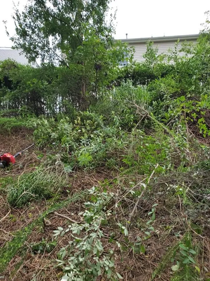 Local outdoor landscaping for year-round maintenance across Raleigh, NC - Ramirez General Landscaping