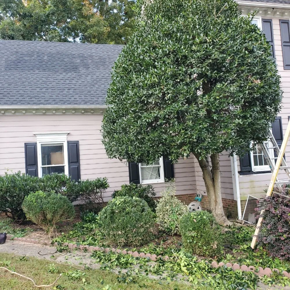 Top-rated yard maintenance near you across Raleigh, NC - Ramirez General Landscaping