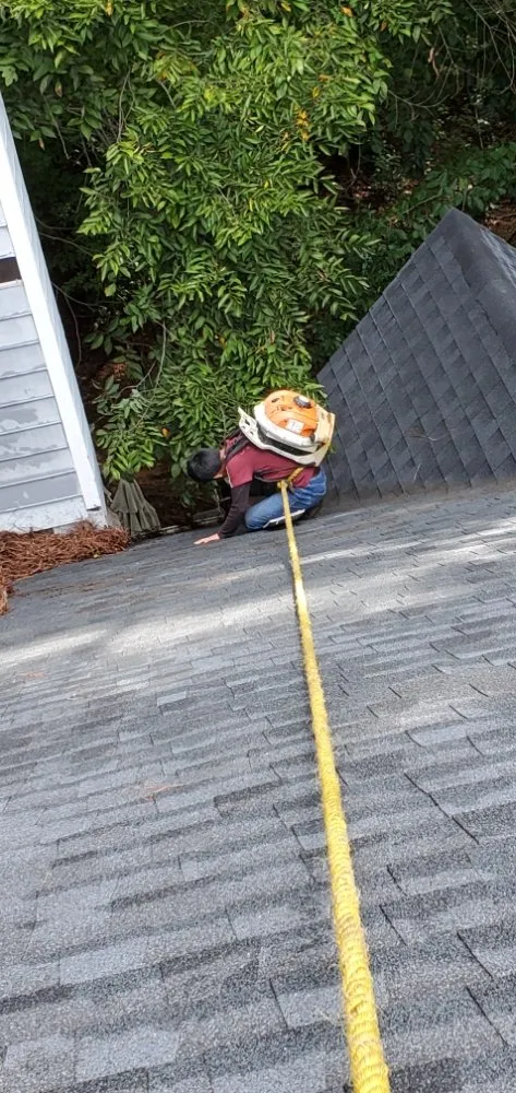 Professional garden landscaping in Raleigh, NC - Ramirez General Landscaping