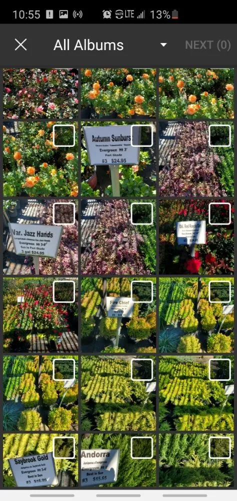 Professional landscape design in Raleigh, NC - Ramirez General Landscaping