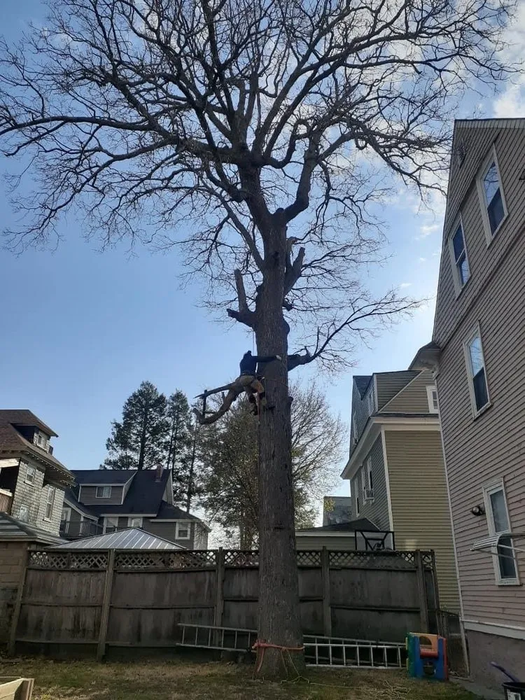 Local garden landscaping near you in Groveland, MA by Ramirez Hardscapes & Tree Service