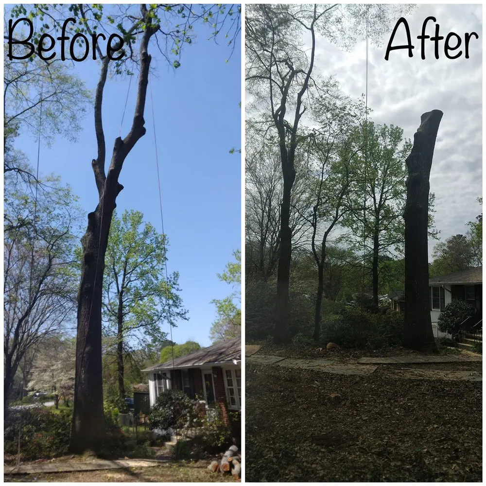 Affordable residential landscaping for outdoor upgrades across Dunwoody, GA - Ramirez Hardscaping and Tree services