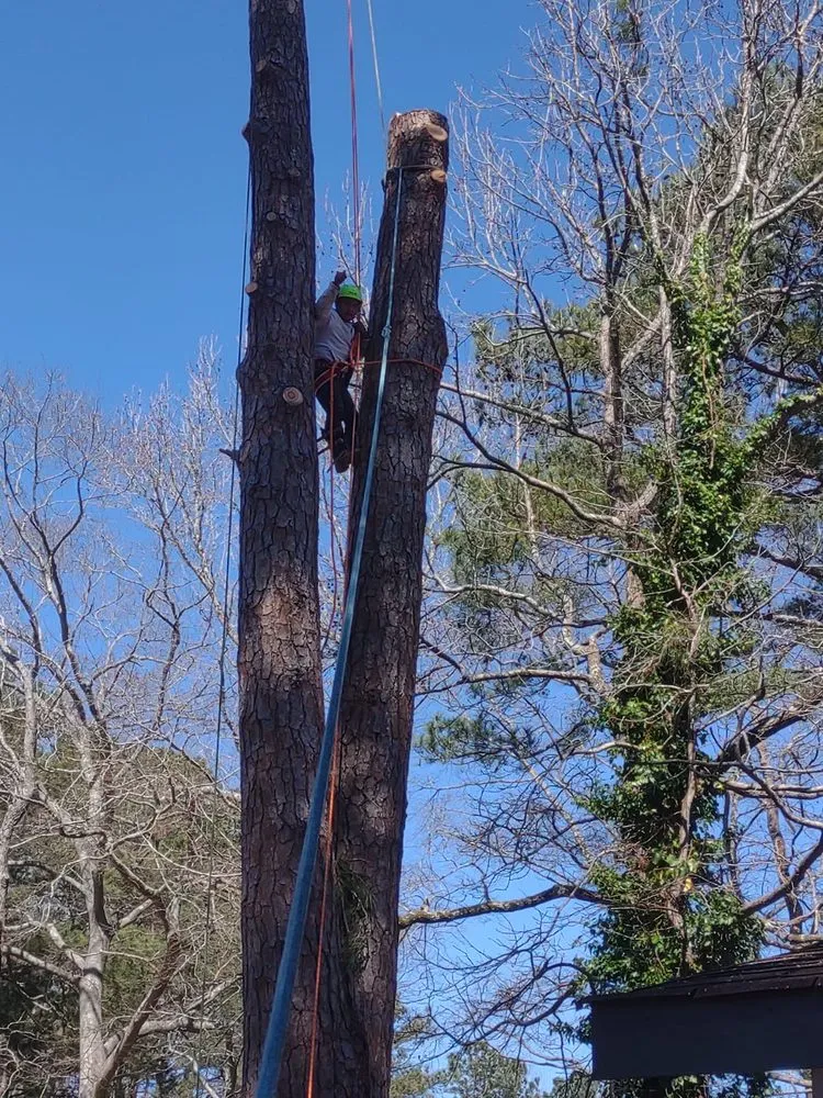 Top-rated residential landscaping in Dunwoody, GA - Ramirez Hardscaping and Tree services