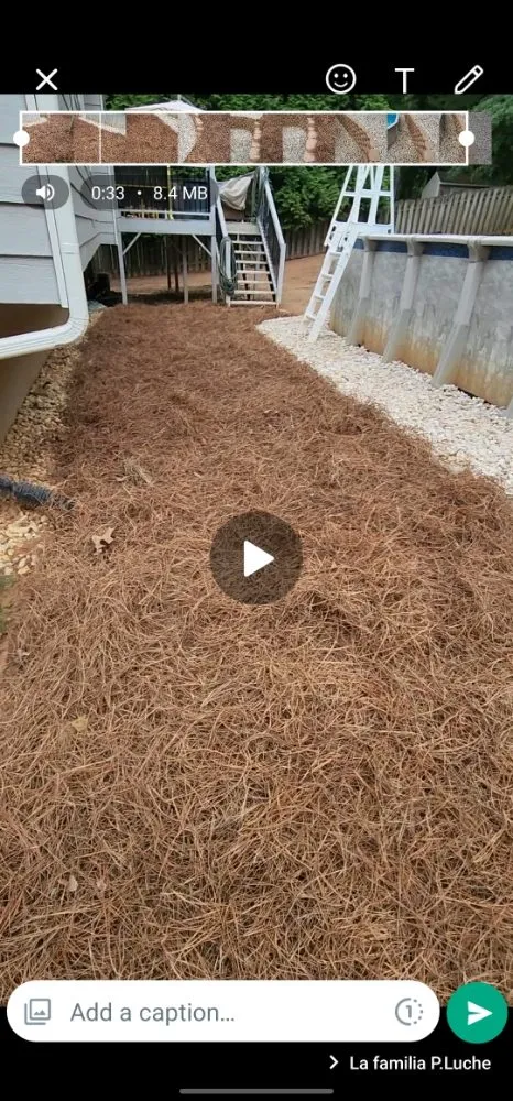 Local yard cleanup service for homes across Canton, GA - Ramirez Jr Landscaping