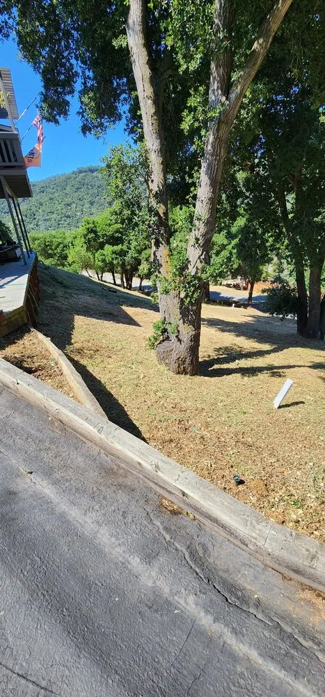 Local lawn mowing service in Salinas, CA by Ramirez Junk Removal