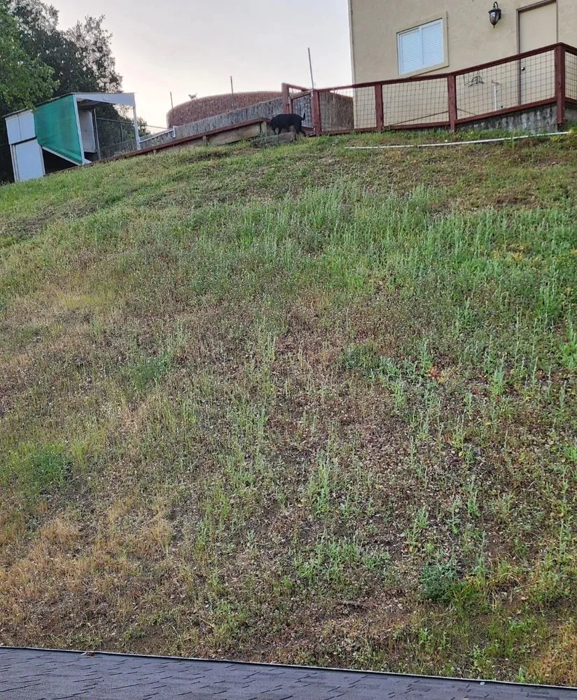 Professional residential landscaping experts serving Salinas, CA - Ramirez Junk Removal