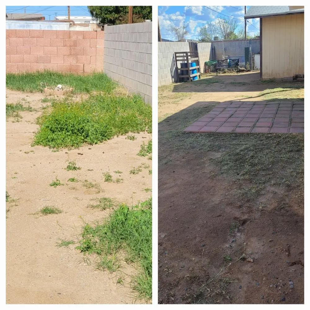 Reliable lawn mowing service experts serving Phoenix, AZ - Ramirez Land Care