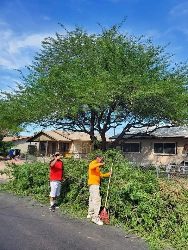 Reliable landscape design near you in Phoenix, AZ by Ramirez Land Care