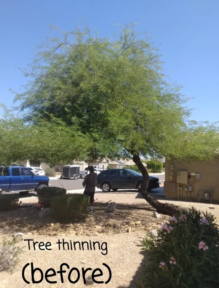 Local lawn mowing service for outdoor upgrades in Phoenix, AZ by Ramirez Land Care