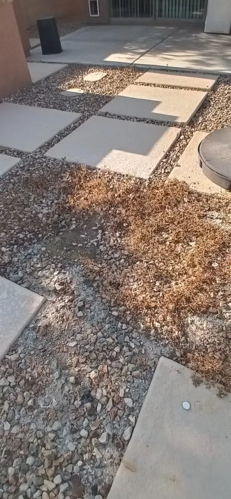 Professional garden landscaping for residential properties in Phoenix, AZ by Ramirez Land Care