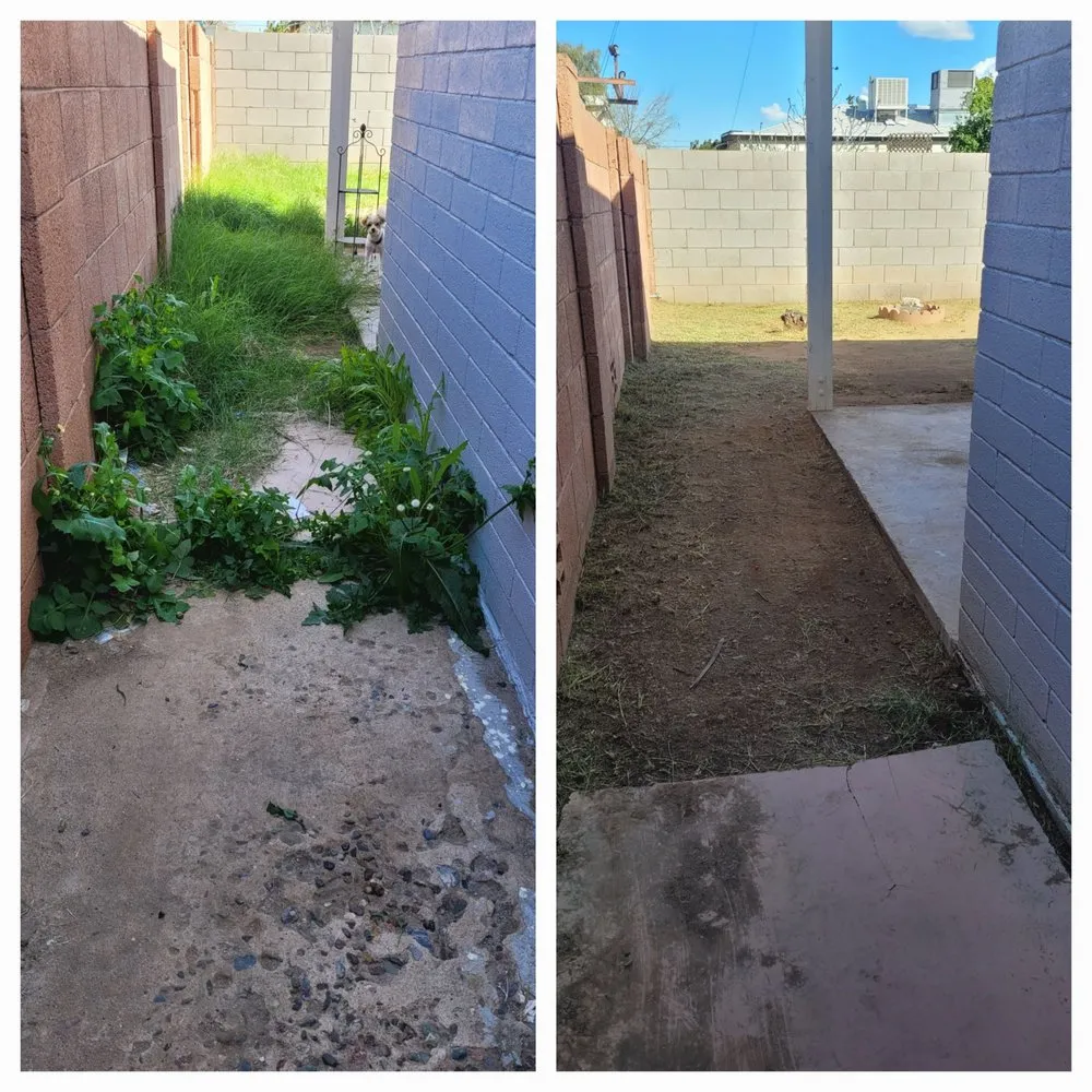 Local landscape installation in Phoenix, AZ by Ramirez Land Care