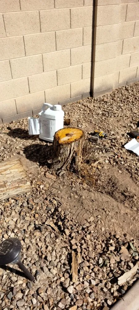 Professional landscape installation in Phoenix, AZ by Ramirez Land Care