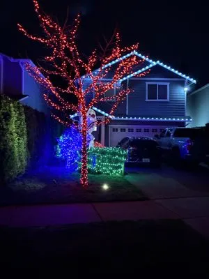 Ramirez Landscape & Construction Logo