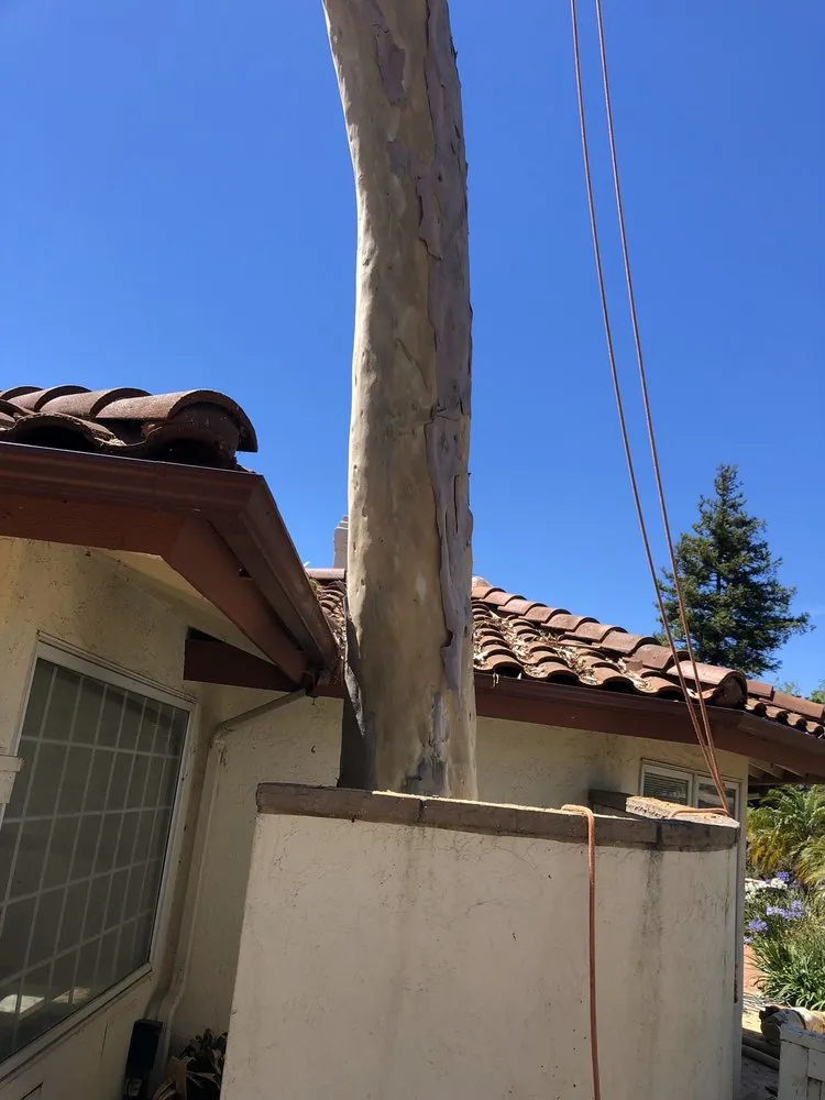 Reliable landscape design experts serving Fallbrook, CA - Ramirez Landscape and Tree Service