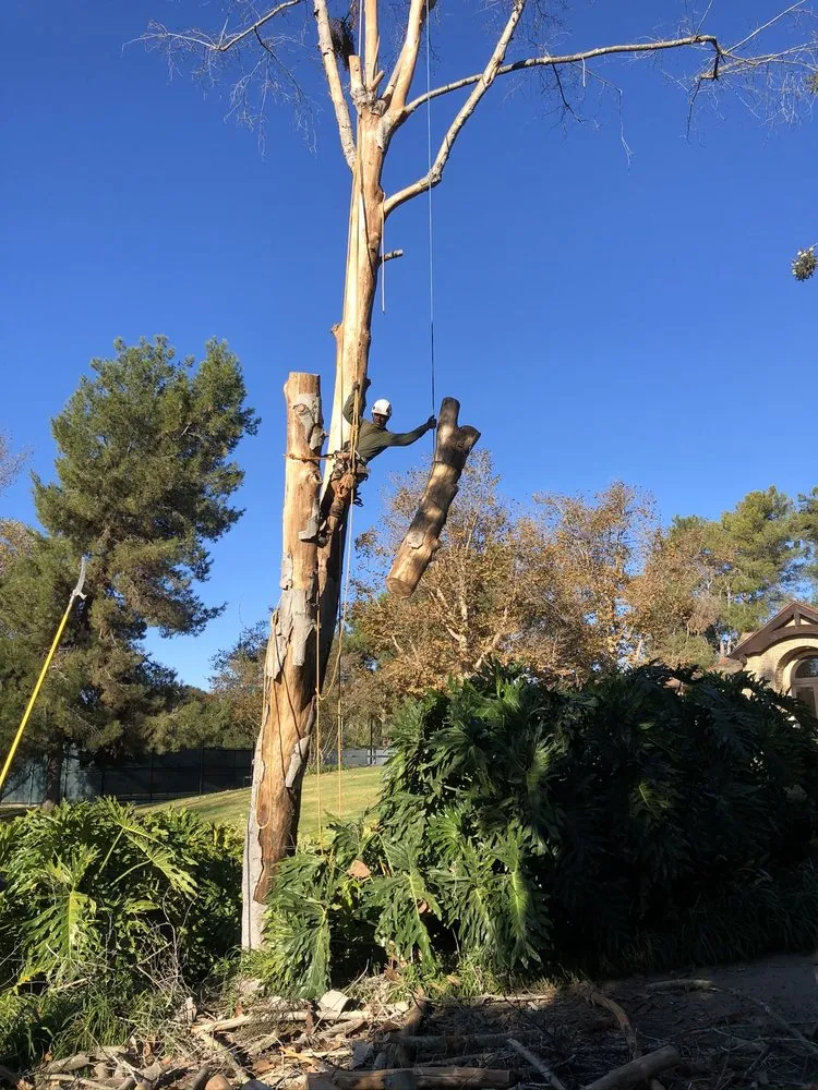 Reliable outdoor landscaping for beautiful yards across Fallbrook, CA - Ramirez Landscape and Tree Service