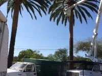 Expert lawn mowing service experts serving Fallbrook, CA - Ramirez Landscape and Tree Service