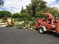 Reliable lawn care service in Fallbrook, CA by Ramirez Landscape and Tree Service