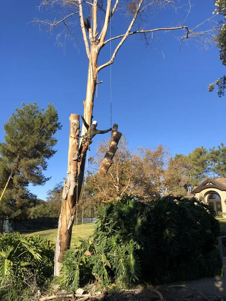 Local lawn care service in Fallbrook, CA - Ramirez Landscape and Tree Service