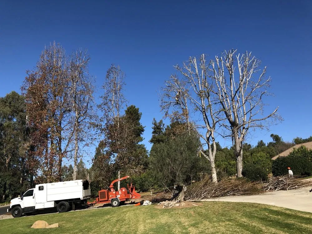 Local residential landscaping in Fallbrook, CA - Ramirez Landscape and Tree Service