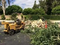 Reliable lawn mowing service in Fallbrook, CA - Ramirez Landscape and Tree Service
