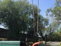 Expert lawn care service with custom design in Fallbrook, CA by Ramirez Landscape and Tree Service