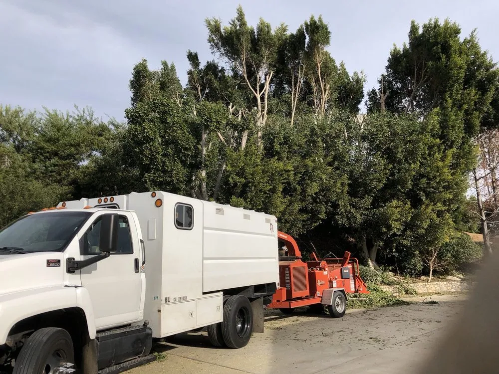 Expert landscaping services near you across Fallbrook, CA - Ramirez Landscape and Tree Service