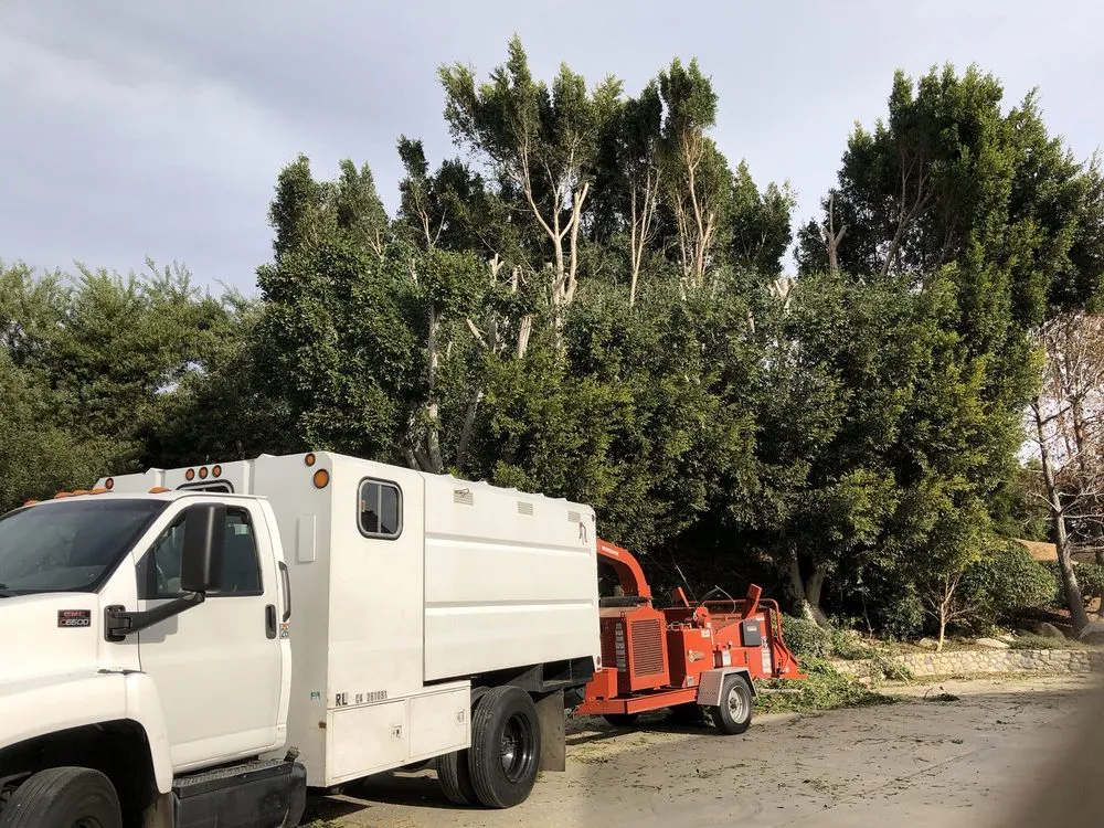 Professional lawn mowing service in Fallbrook, CA by Ramirez Landscape and Tree Service