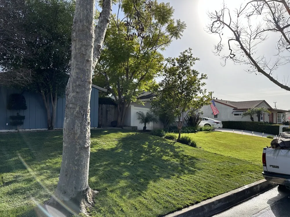 Expert yard cleanup service experts serving Firestone Park, CA - Ramirez Landscape