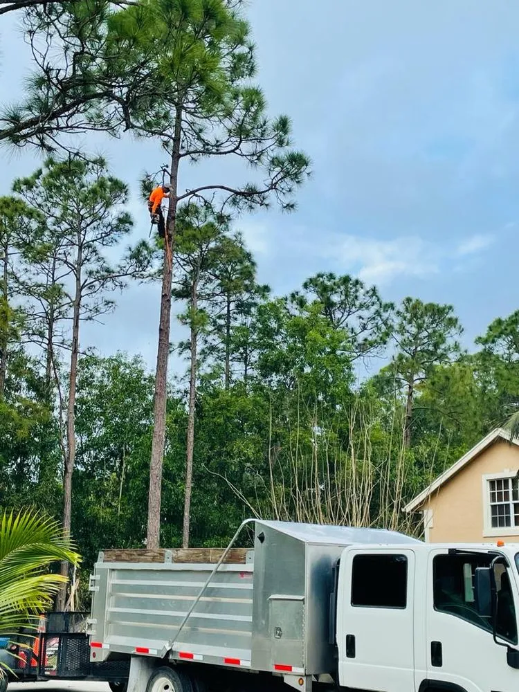 Affordable garden landscaping experts serving Jupiter, FL - Ramirez Landscape Maintenance