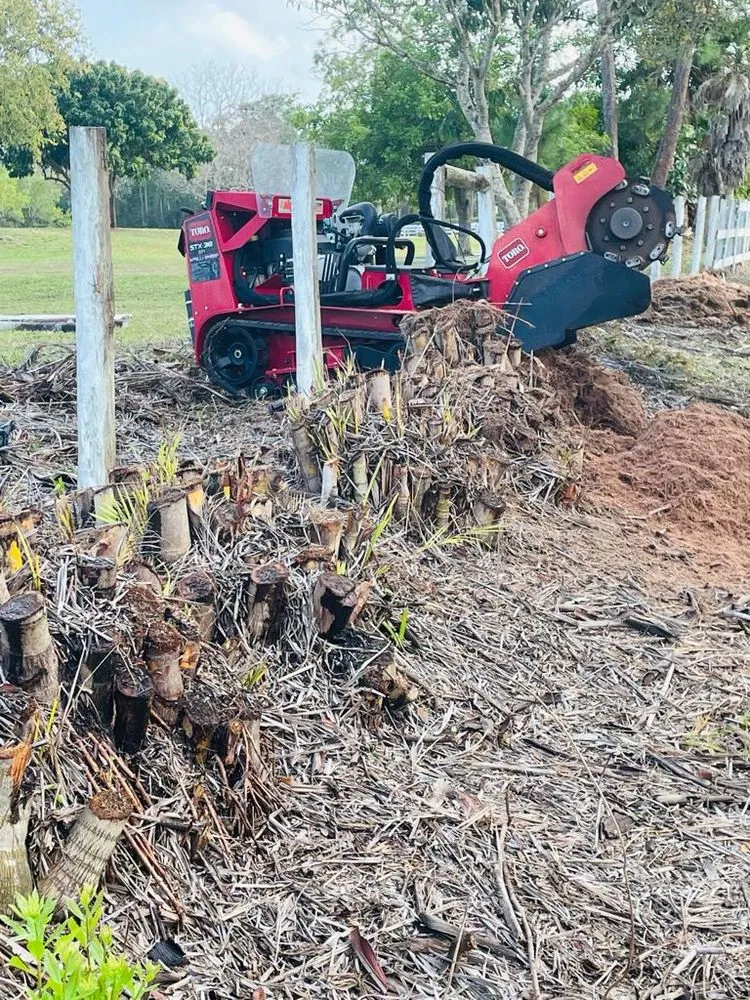 Custom landscape installation for outdoor upgrades across Jupiter, FL - Ramirez Landscape Maintenance