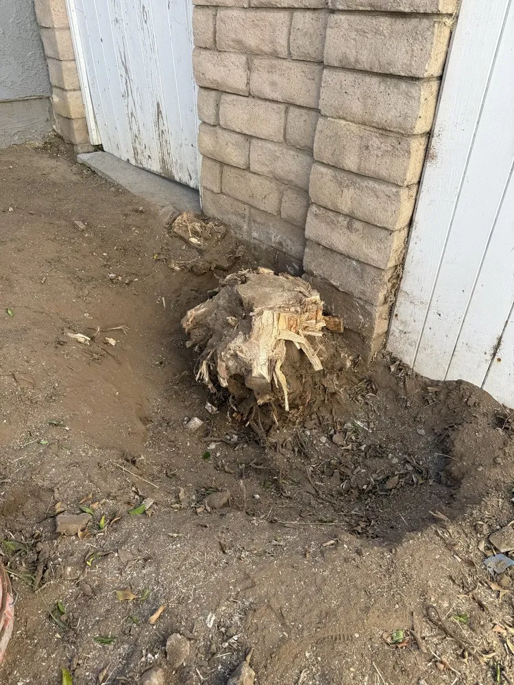 Local garden landscaping in San Fernando Valley, CA by Ramirez Landscape