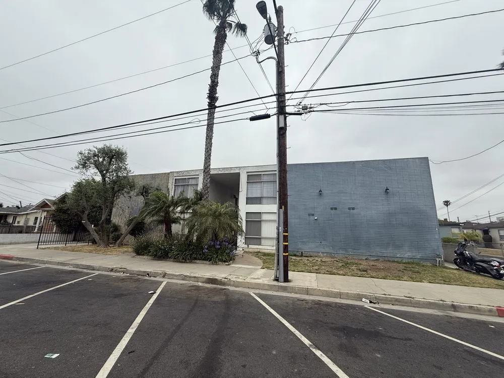 Trusted yard cleanup service experts serving San Fernando Valley, CA - Ramirez Landscape