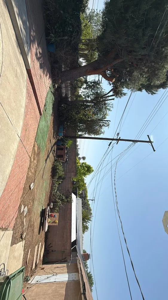 Expert landscape installation experts serving San Fernando Valley, CA - Ramirez Landscape