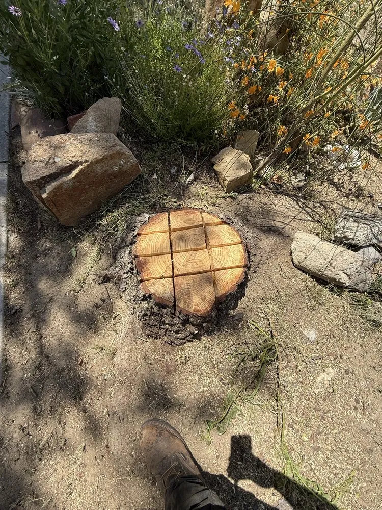 Local yard maintenance in San Fernando Valley, CA by Ramirez Landscape