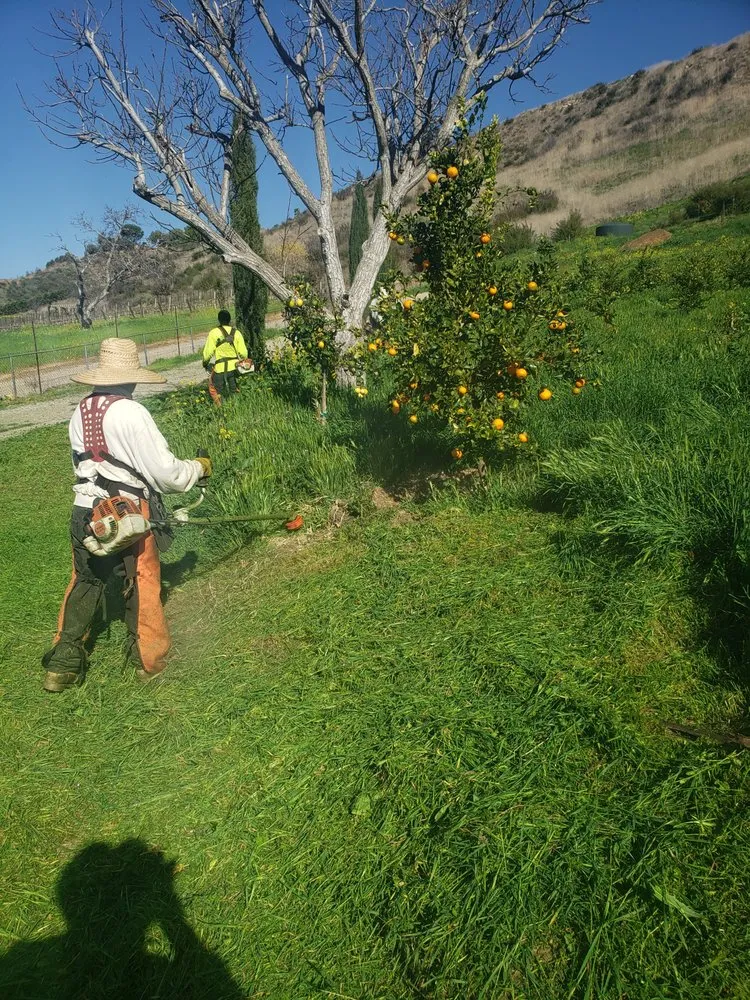 Custom residential landscaping in Santa Paula, CA - Ramirez Landscape Services