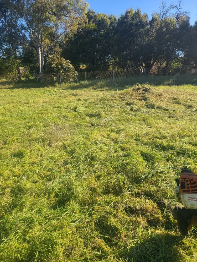 Reliable landscaping services in Santa Paula, CA by Ramirez Landscape Services