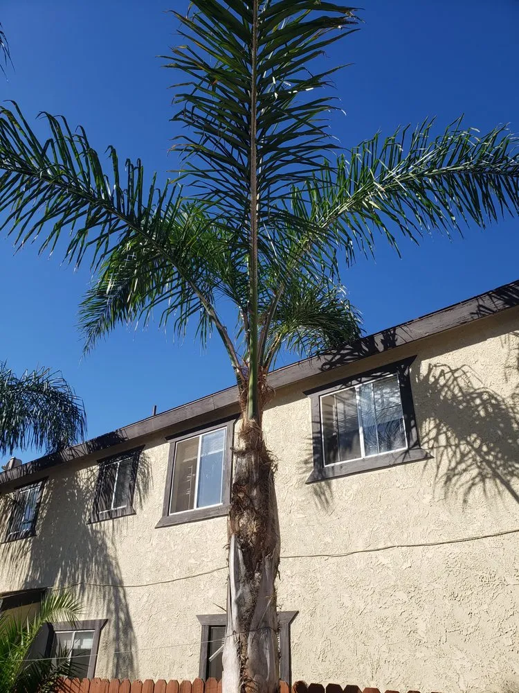 Local garden landscaping near you in Santa Paula, CA by Ramirez Landscape Services