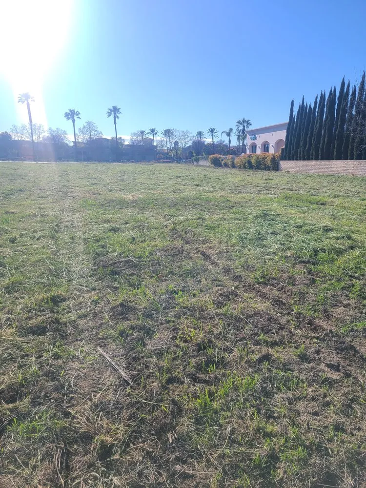 Reliable lawn mowing service for homes across Santa Paula, CA - Ramirez Landscape Services