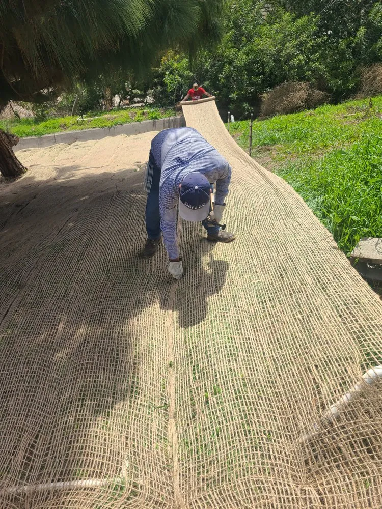 Reliable yard maintenance in Santa Paula, CA by Ramirez Landscape Services